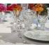 Фужер для вина оранжевый "HARCOURT 1841" Baccarat 1201134