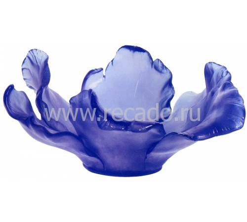 Ваза для фруктов "Tulipe" Daum 03579-2