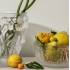 Ваза для цветов прозрачная "Bacchantes" Lalique 1220000