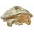 Статуэтка "Черепаха Caroline" золотая Lalique 10139300