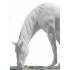 Статуэтка "Лошади на лугу" Lladro 01008699