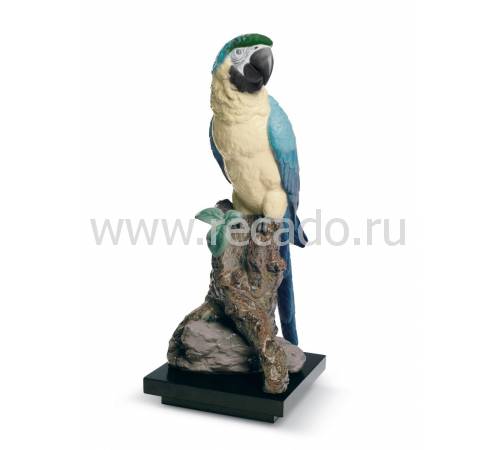 Статуэтка "Попугай" Lladro 01008388