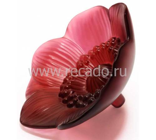 Цветок Anemone маленький Lalique 10443200