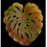 Лист настенный Monstera зел.- оранж. LF Daum 05276-170