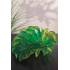Ваза для фруктов "Monstera" Daum 05550