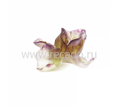 Ваза для цветов "Jungle" Daum 05456-1