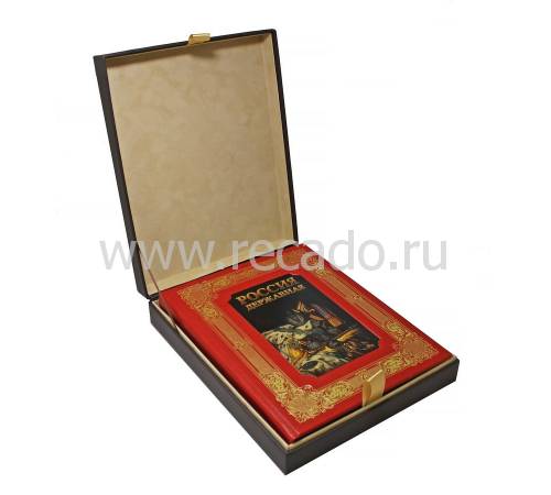 Россия державная BG4971K