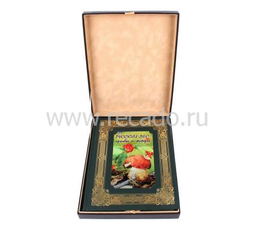 Книга Русский лес. Грибы и ягоды BG8791K