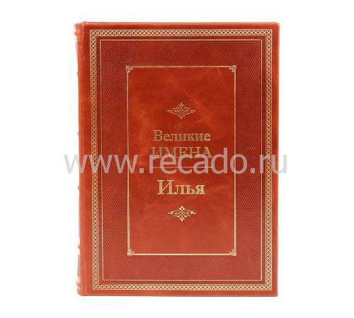 Книга Илья (Великие имена) BG8228M