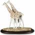 Статуэтка "Жирафы" Lladro 01009389