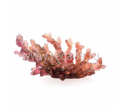Блюдо для фруктов "Mer de Corail" красная Daum 05713-1