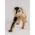 Статуэтка "Пантера" золотая Lladro 01009580