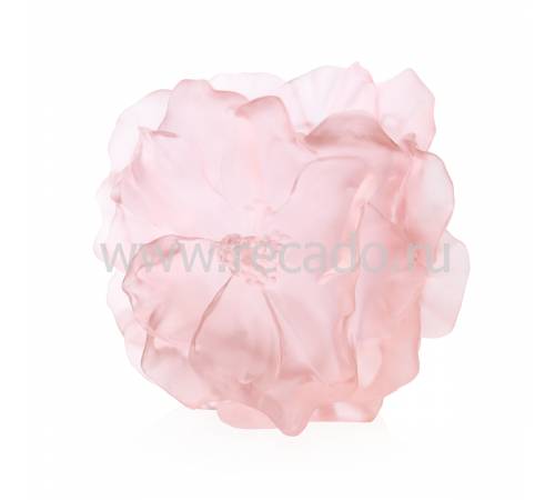 Ваза для цветов "Camelia" большая розовая Daum 05730-1