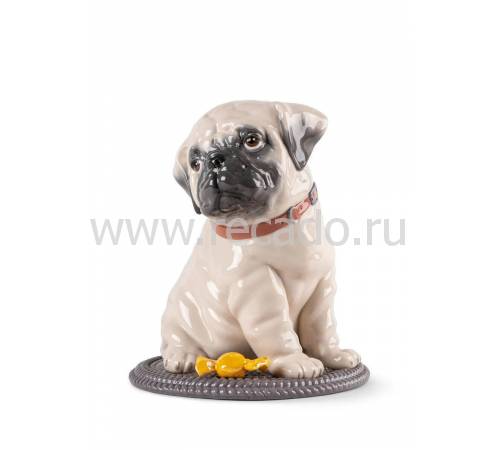 Статуэтка "Мопс" Lladro 01009689