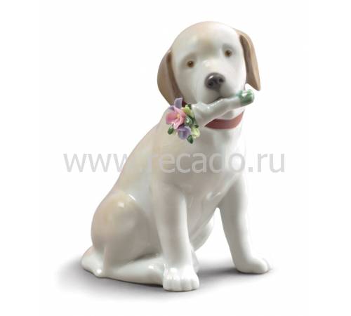Статуэтка собака "Этот букет для Вас" Lladro 01009256