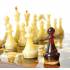 Янтарный шахматный ларец (Корень ореха) ES036