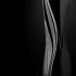Ваза для цветов "Visio" чёрная Lalique 10372400