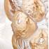 Ваза для цветов золотая "Oran" Lalique 10571100