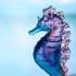 Статуэтка "Морской конёк" сине-розовый Daum 05714